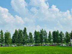 -广富林郊野公园