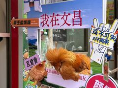 -吉英盐焗鸡(文中路店)