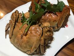 -呼吸森林·生态农庄农家乐私房菜