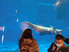 -华夏文旅海洋公园