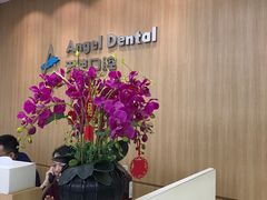 -天使口腔门诊部(上海店)