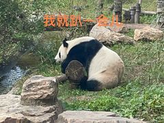 -沈阳森林动物园
