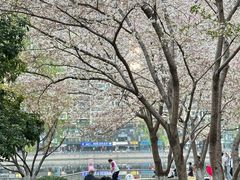 -西北湖绿化广场