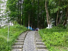 -桤木河湿地公园