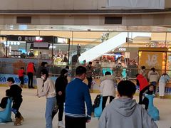 -冰纷万象滑冰场(二七万象城店)