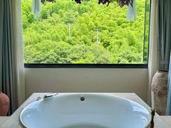 -看见远方·莫干遥远的山民宿