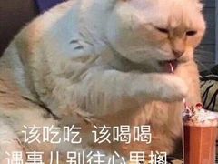 -小媳妇铁锅炖鱼(世博园店)