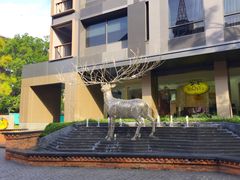 -naraya(玛雅百货店)