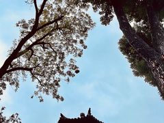 -拙政园