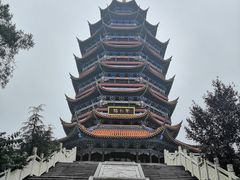 -铁山坪森林公园