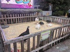 -广州长隆国际大马戏