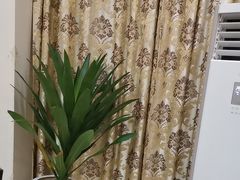 -杨正宗烤全羊(北二环店)