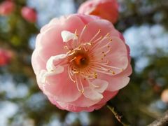 -白塘生态植物园