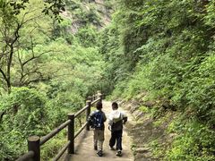 -少华山国家森林公园