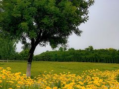 -汉长安城未央宫国家考古遗址公园