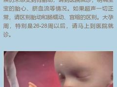 -大班家政月嫂育儿嫂(总部店)