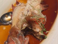 -百富源·海鲜辽菜(张士店)