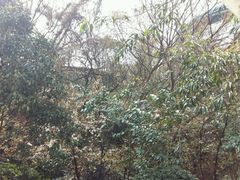 -昆明动物园