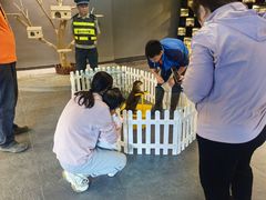 -太平洋海底世界