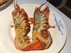 -星伦多 自助料理(圆融店)