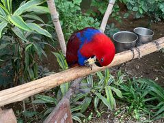 -南宫五洲植物乐园