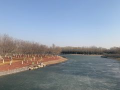 -大兴滨河森林公园