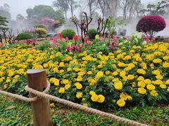 -东莞植物园