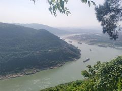 -铁山坪森林公园