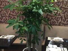 -新花城蟹粉馆(乌鲁木齐店)