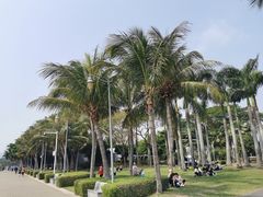 -深圳湾公园(南山区)