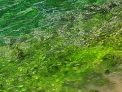 -叠溪松坪沟景区