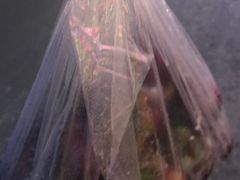 -家辉生鲜超市(东五路店)