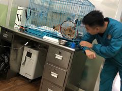 -守诺宠物医院·眼科· 特色牙科·异宠专科(虹口店)