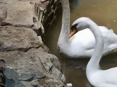 -海合安武汉极地海洋公园