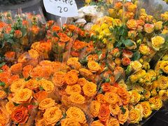 -循礼门鲜花花市(武汉循礼门店)