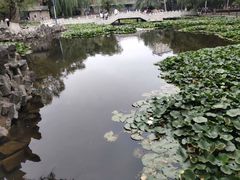 -五泉山公园