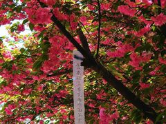 -西安外国语大学(长安校区)