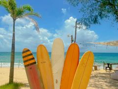 -西涌国际滨海旅游区