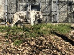 -石家庄市动物园