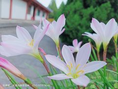 -崇圣寺三塔文化旅游区