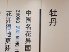-普天和酒楼(天津之眼店)