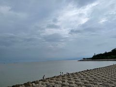 -野狸岛