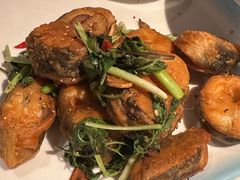 金不换煎焗白鳝-博多新记·粤菜(复兴店)