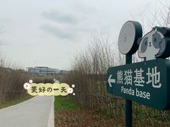 景点-成都大熊猫繁育研究基地