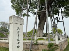 -观潮胜地公园