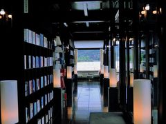 -东钱湖旅游度假区