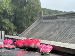 -八大处公园
