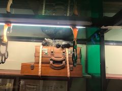 -猫咪博物馆(顶澳仔猫街店)