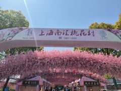 -南汇桃花村