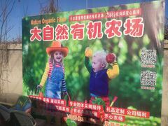-大自然农场蔬菜草莓采摘园